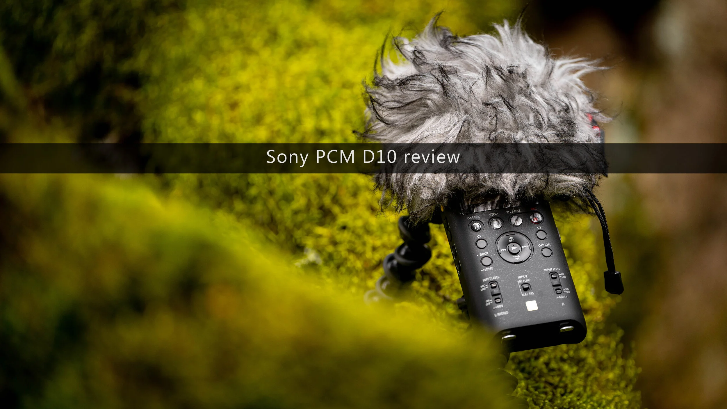 Sony PCM D10 long term review — Mindful Audio